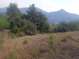 KÜÇÜKATEŞ EMLAK TAN SATLIK 3.888m2 Gediklide  Müstakil Tapulu Yol Su Sorunu Yoktur